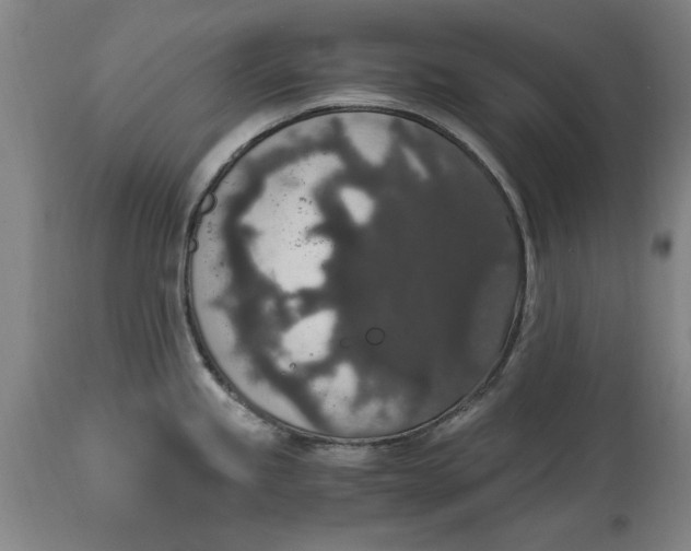 X0000114661245200911101336