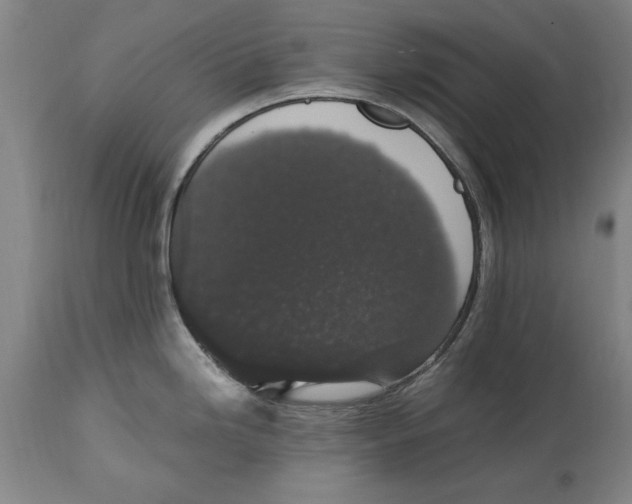 X0000114661246200911101336