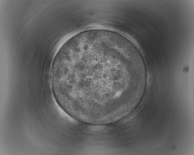 X0000114661247200911101336