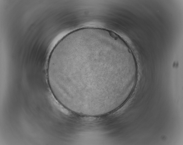 X0000114661248200911101336