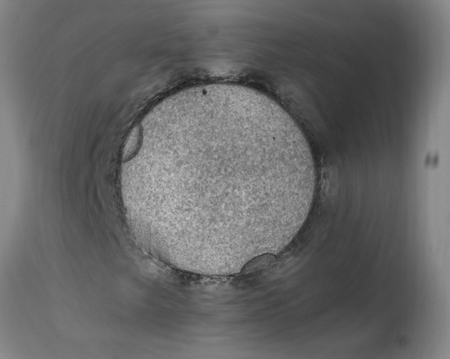 X0000114661249200911101335