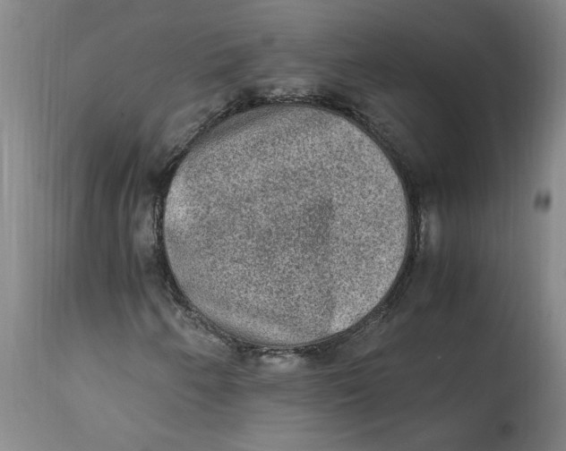 X0000114661250200911101335