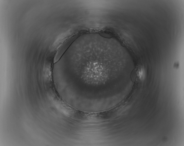 X0000114661252200911101335