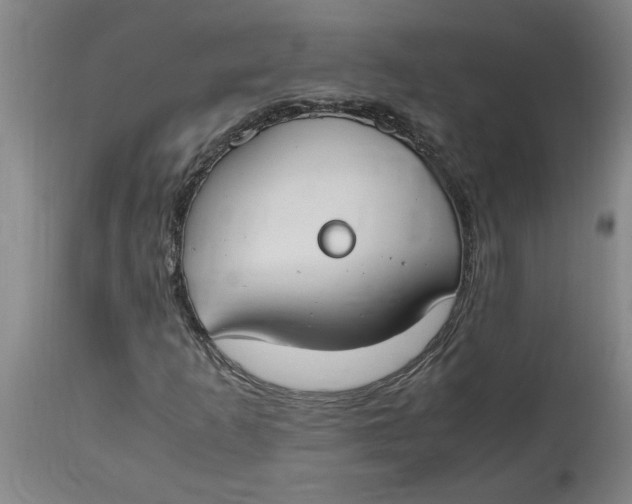 X0000114661253200911101335