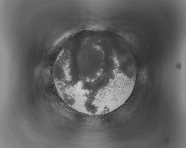 X0000114661254200911101335