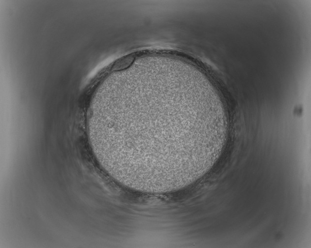 X0000114661255200911101335