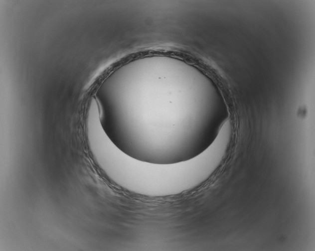 X0000114661256200911101335