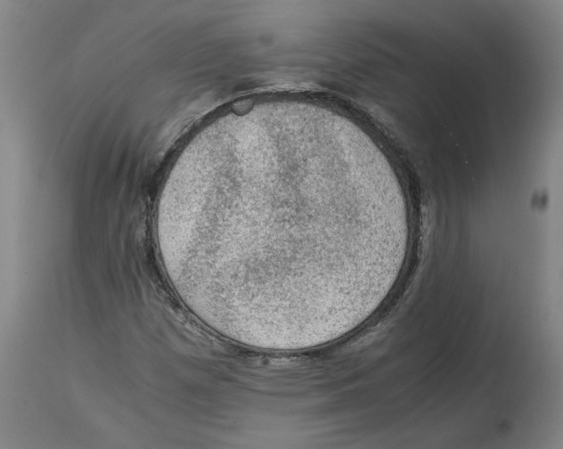 X0000114661257200911101335