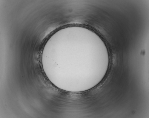 X0000114661258200911101335