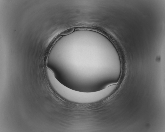 X0000114661259200911101335