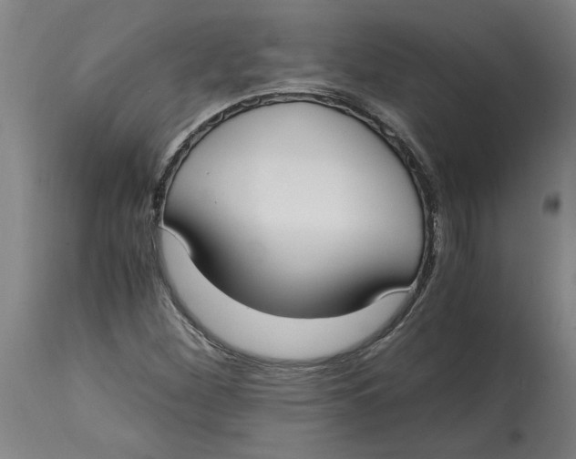 X0000114661260200911101335