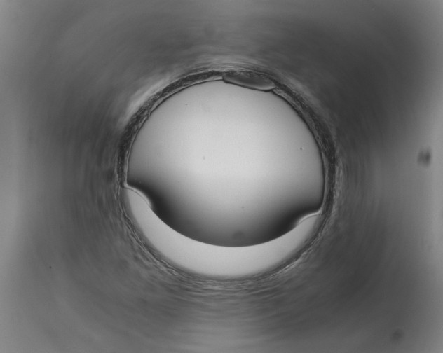 X0000114661261200911101335