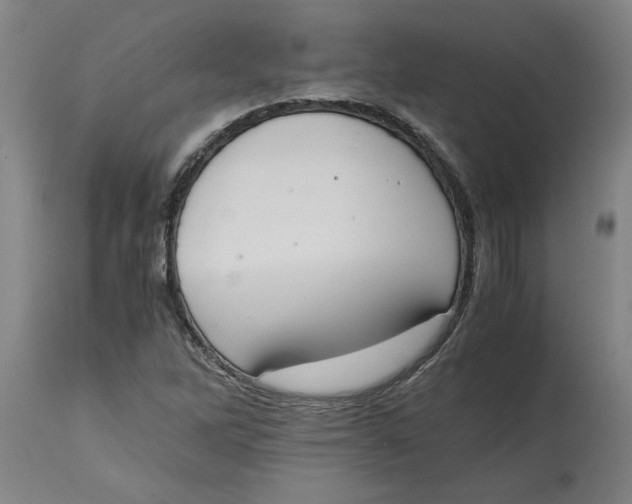 X0000114661262200911101335