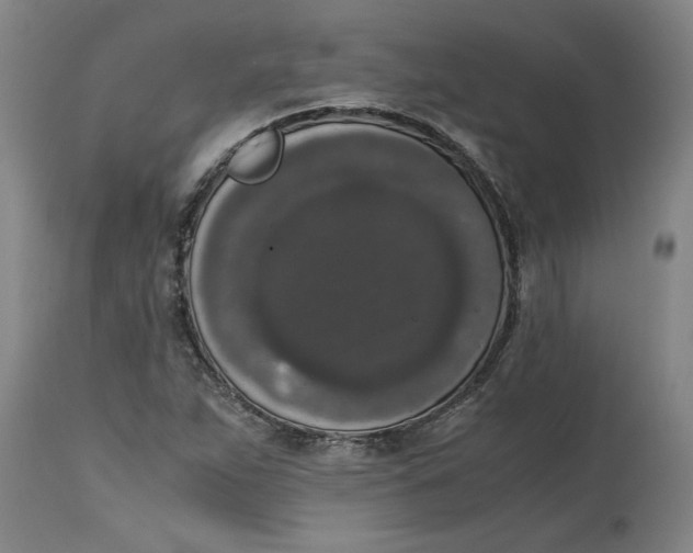 X0000114661263200911101335