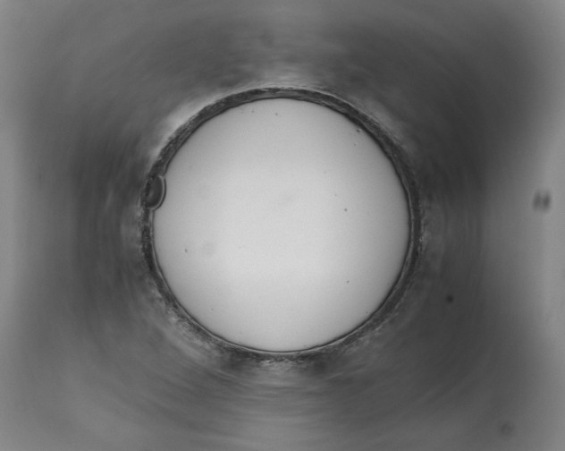 X0000114661264200911101335