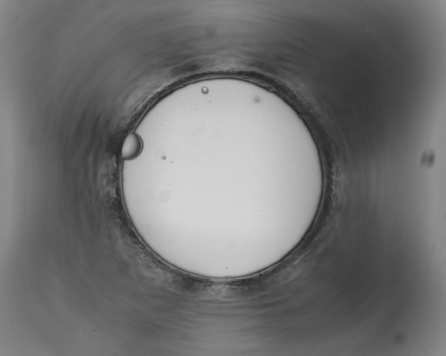 X0000114661265200911101335