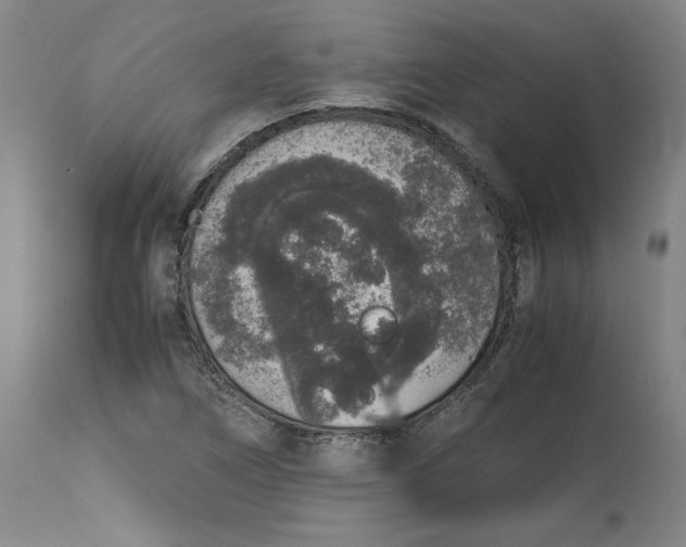 X0000114661266200911101335