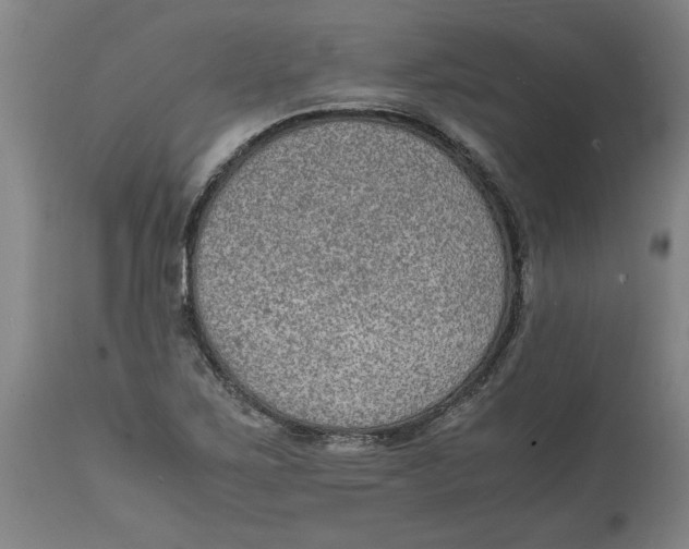 X0000114661267200911101335