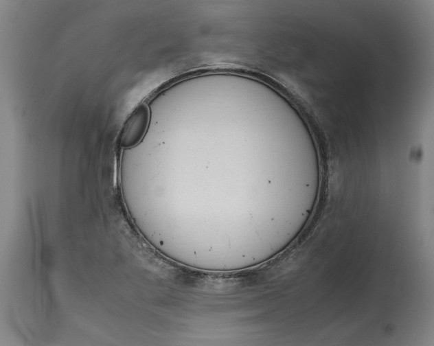 X0000114661269200911101335