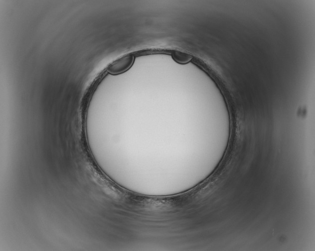 X0000114661270200911101335