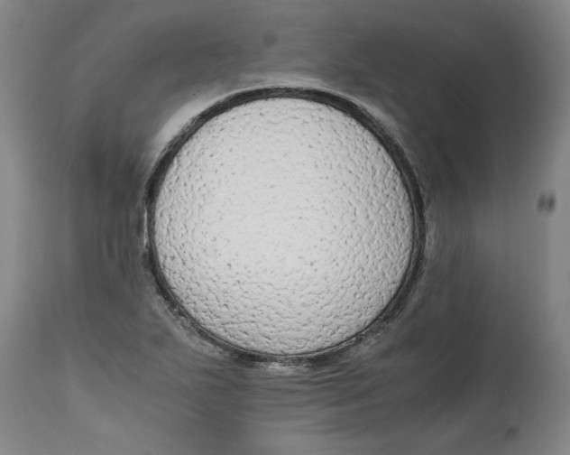 X0000114661271200911101335