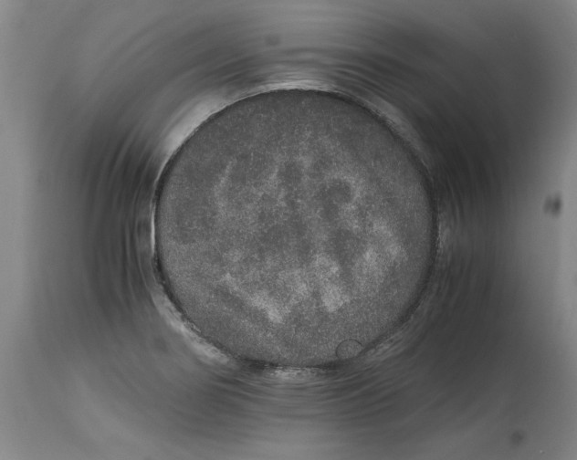 X0000114661274200911101335