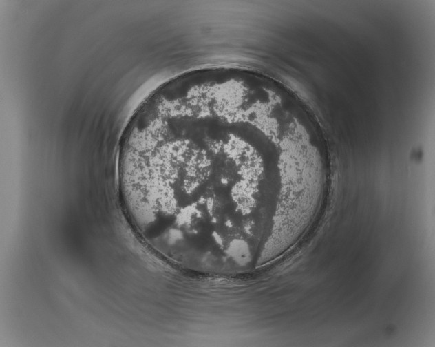 X0000114661275200911101335