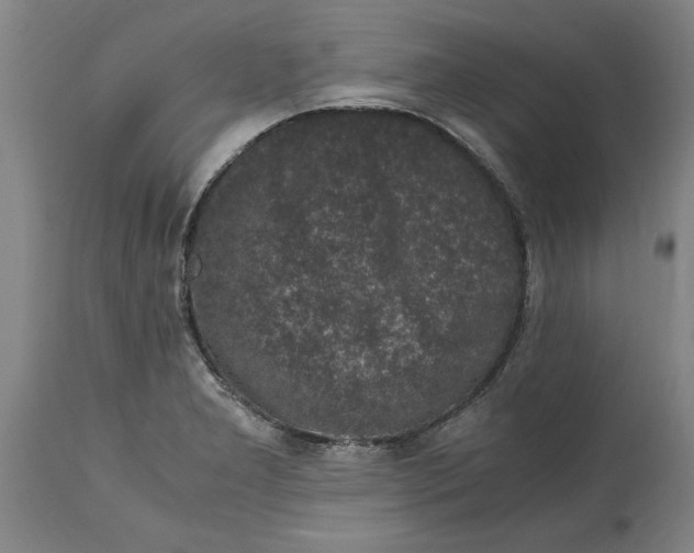 X0000114661277200911101335