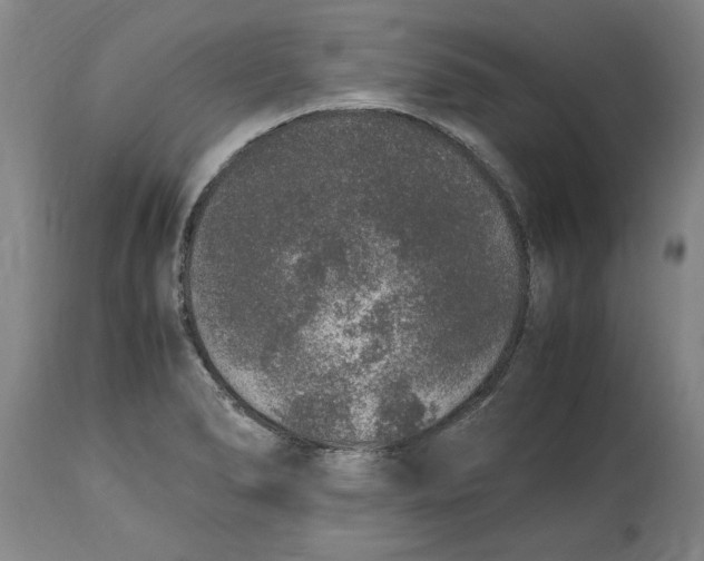 X0000114661278200911101335