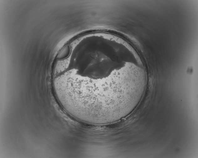 X0000114661279200911101335