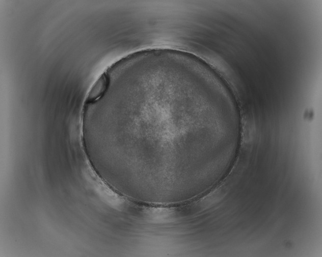 X0000114661280200911101335