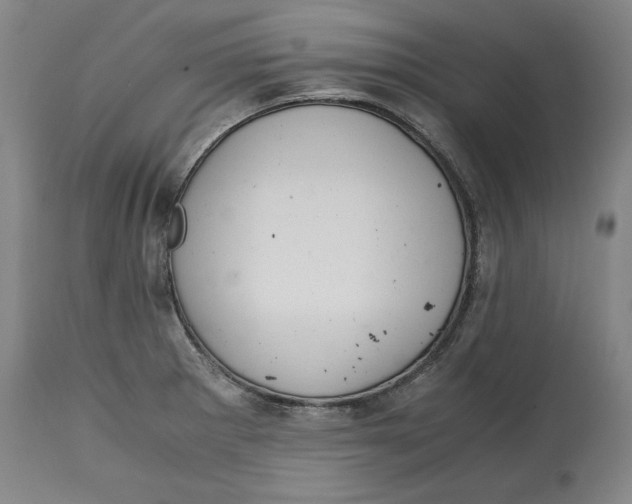 X0000114661281200911101335