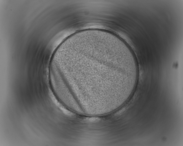 X0000114661282200911101335