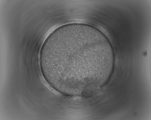 X0000114661283200911101335