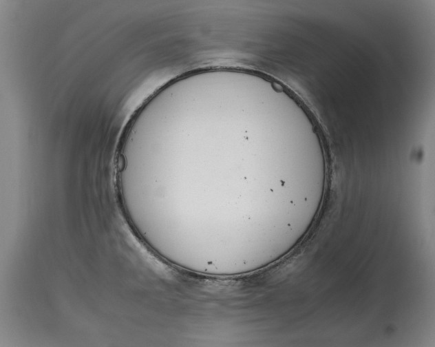 X0000114661285200911101335