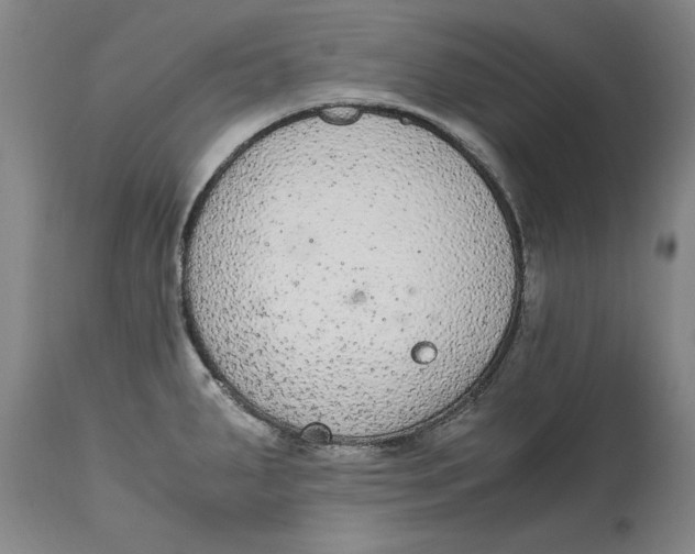 X0000114661287200911101335