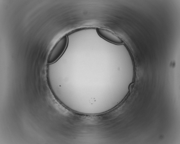 X0000114661288200911101335