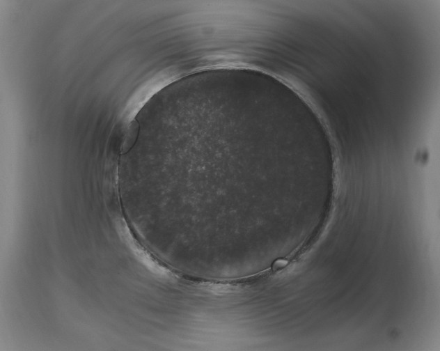 X0000114661289200911101335