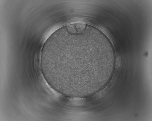 X0000114661290200911101335