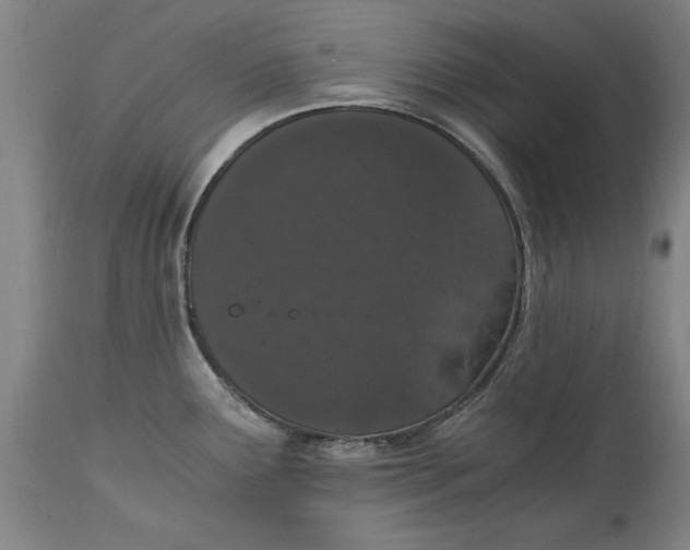 X0000114661291200911101335