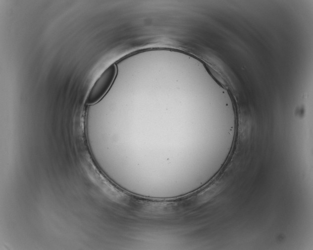 X0000114661292200911101335