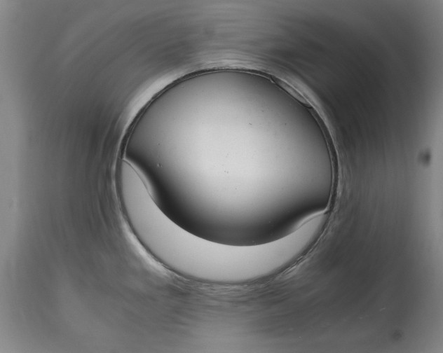 X0000114661293200911101335