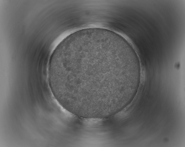 X0000114661294200911101335