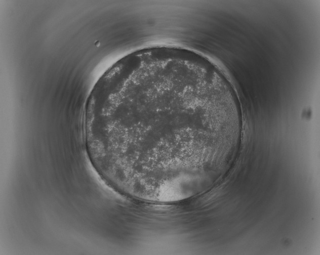 X0000114661295200911101335