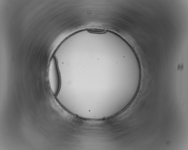 X0000114661296200911101335