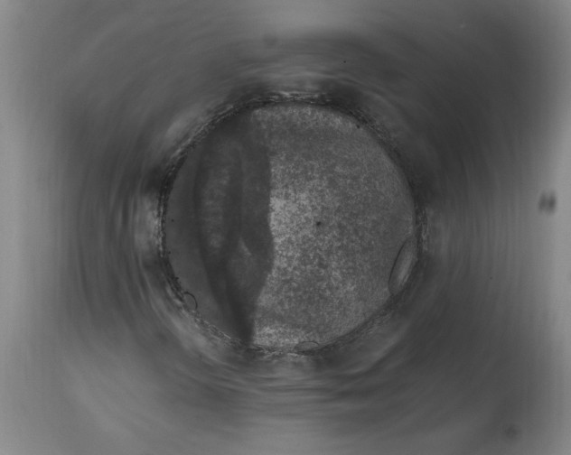 X0000114661298200911101334