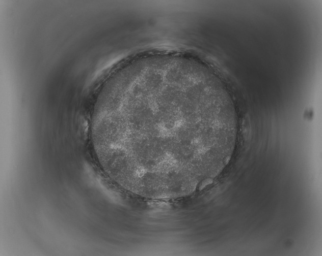 X0000114661302200911101334