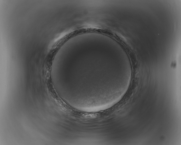 X0000114661303200911101334