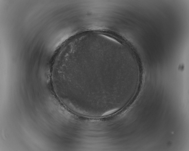 X0000114661306200911101334