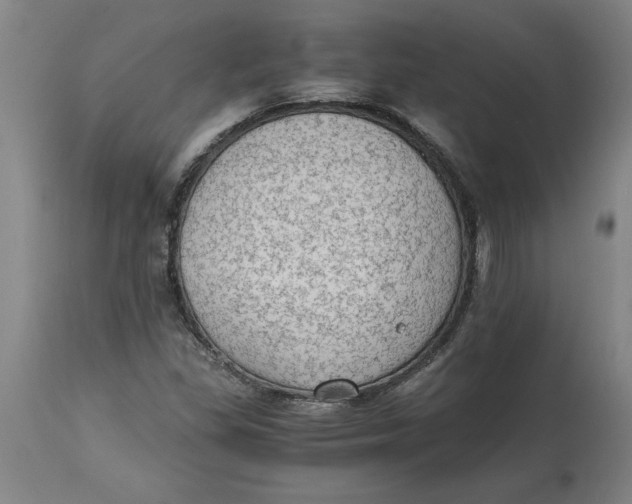 X0000114661309200911101334